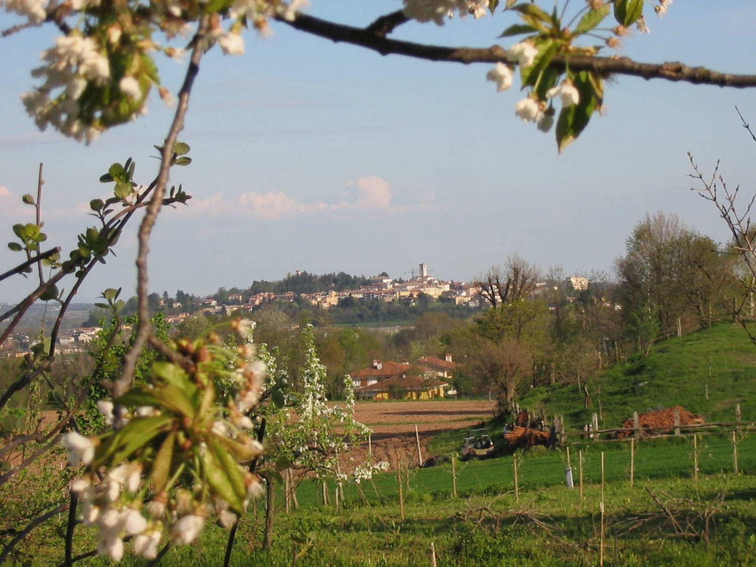 Agriturismo Casa Rossa Ai Colli Ragogna Bagian luar foto
