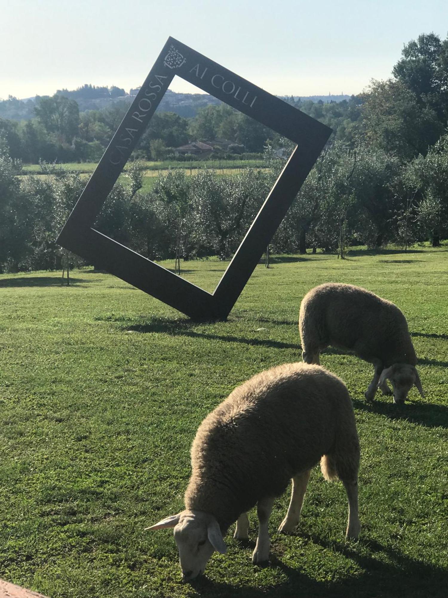 Agriturismo Casa Rossa Ai Colli Ragogna Bagian luar foto